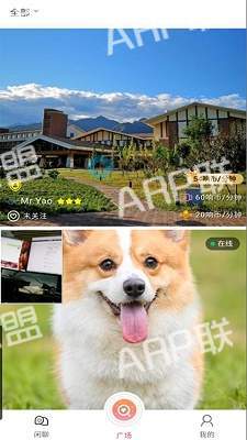 ARP联盟